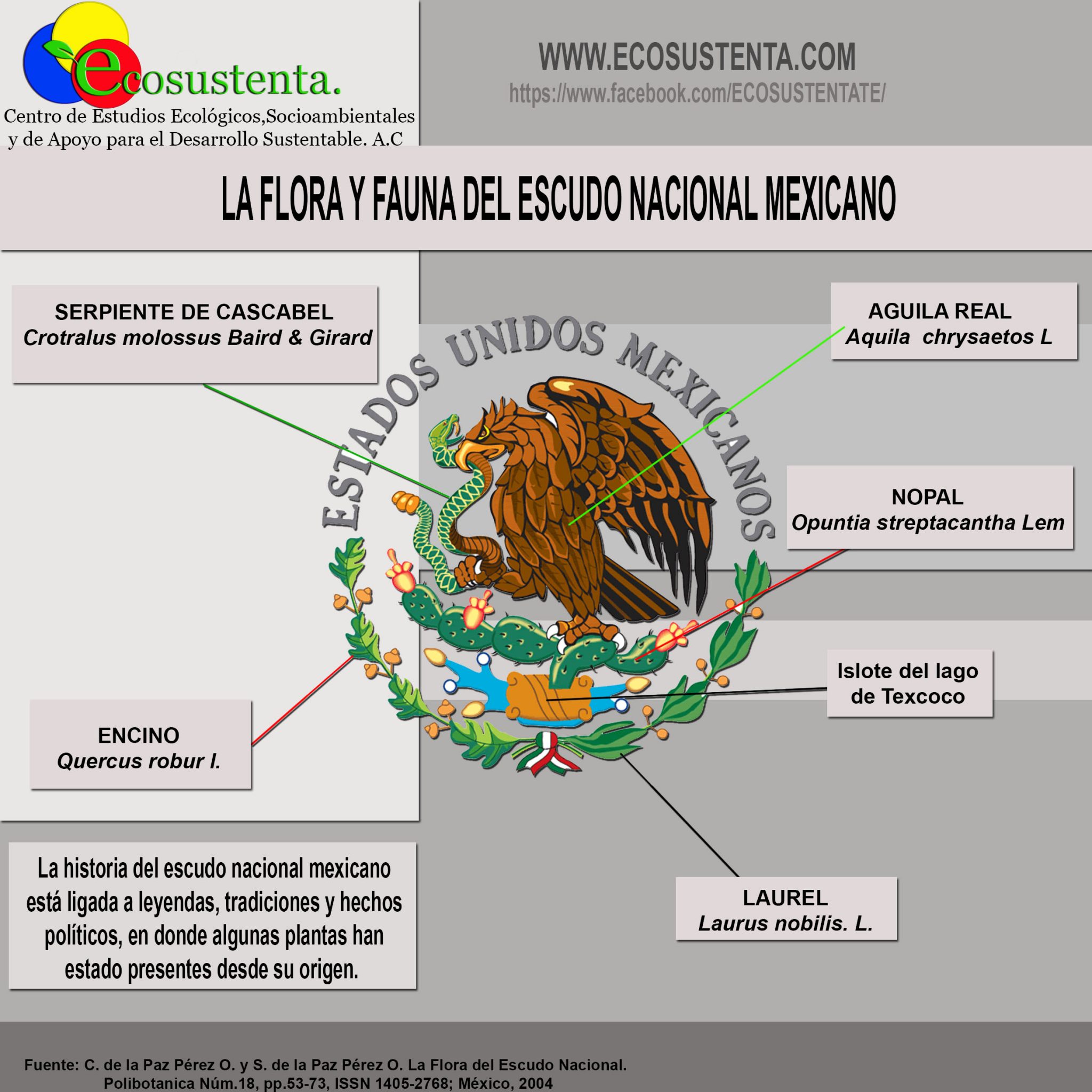 Escudo Bandera Mexicana