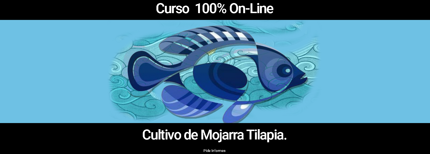 CURSO DE TILAPIA 100 EN LINEA